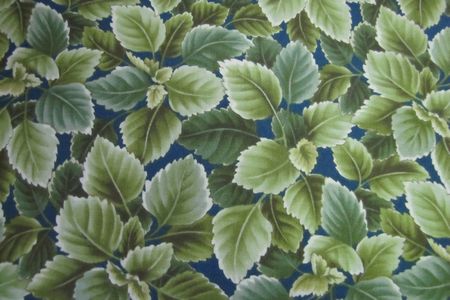 Green Leaves on a Blue Background - Click Image to Close