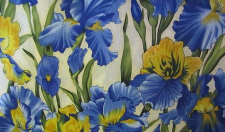 Yellow and Royal Blue Iris on Cream Background - Click Image to Close