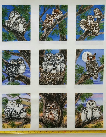 Owls Owl Families in Blocks on White borders - Click Image to Close