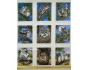 Owls Owl Families in Blocks on White borders