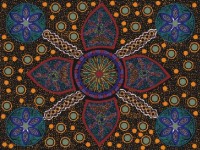 Stella - Black - Australian Aboriginal Fabric