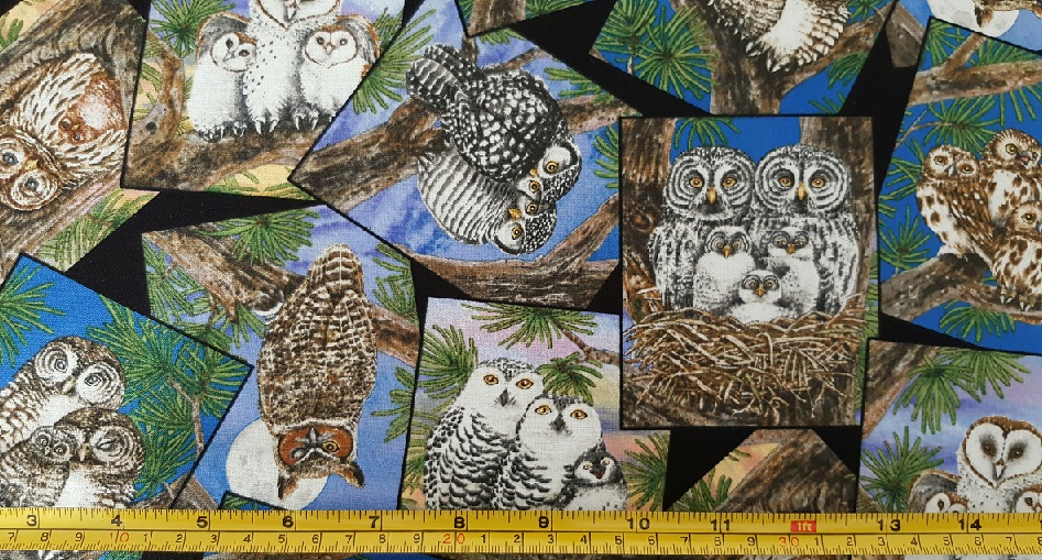 Owl Families Owls in Frames - Click Image to Close