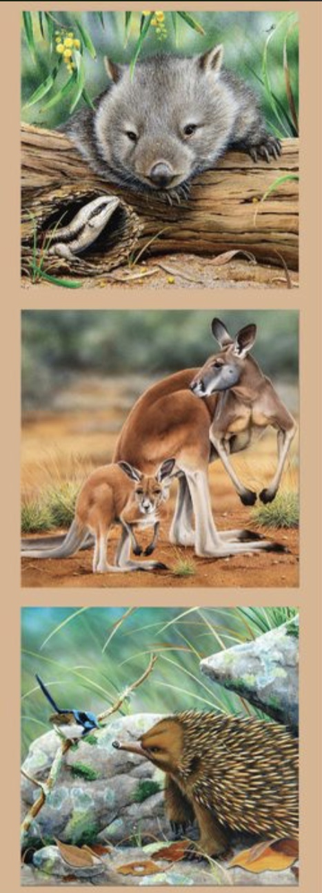 Wildlife Art - Wombat, Kangaroo, Echidna, Blue Tongue PANEL - Click Image to Close