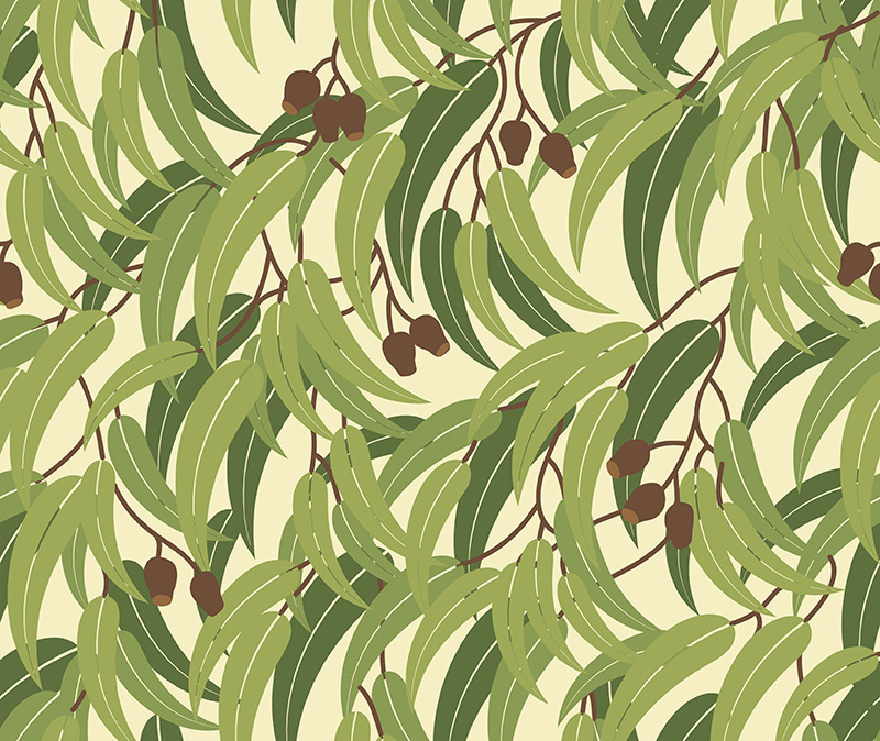 Green Eucalyptus Leaves & Gumnuts Coordinate for bird panel - Click Image to Close
