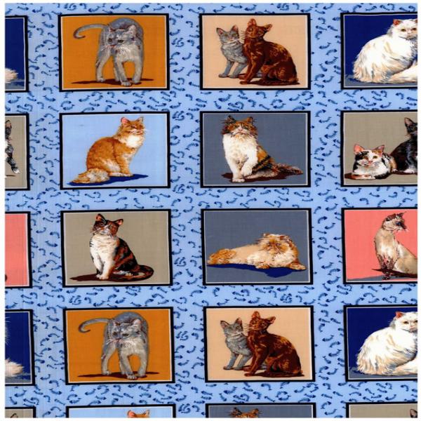 Cats Corner Panels - Click Image to Close