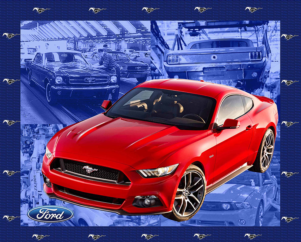 RED FORD MUSTANG - LARGE PANEL 90cm x 110c - Click Image to Close