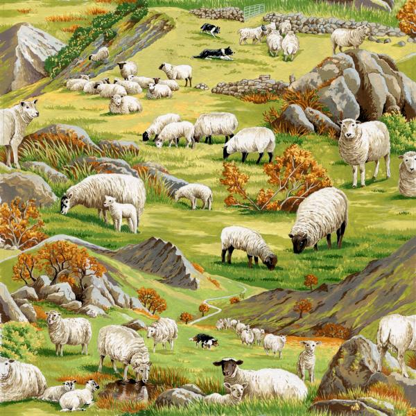 Sheep on green grass rock sheep dog - Click Image to Close