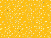 Taking Flight: Mini Flowers on Mustard