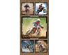 Burrangong Creek Dirt Bike Co: Collage 24" x 44" Panel bikes