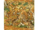 Australian Kangaroo Fabric , Roos