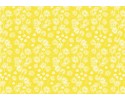 Bush Gum Blossoms: Yellow Wattle Waltz
