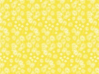 Bush Gum Blossoms: Yellow Wattle Waltz