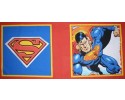 Superman front and back fabric pillow / cushion panel.