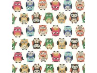 Colourful Owls