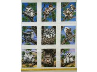 Owls Owl Families in Blocks on White borders
