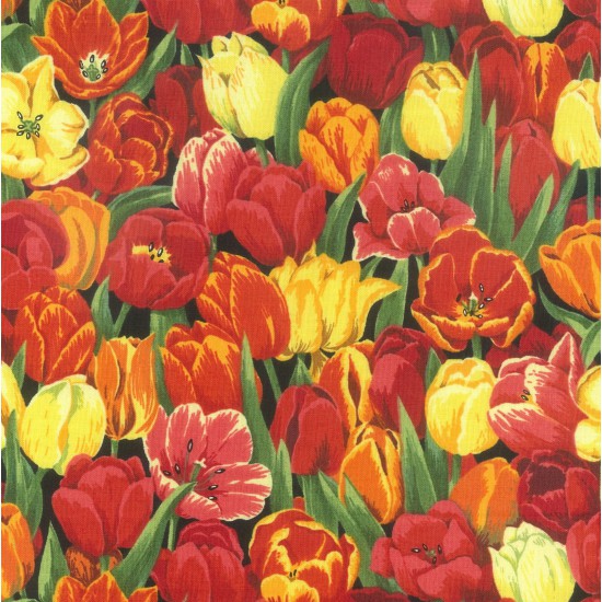 Beautiful Red and yellow tulips tulip flowers - Click Image to Close